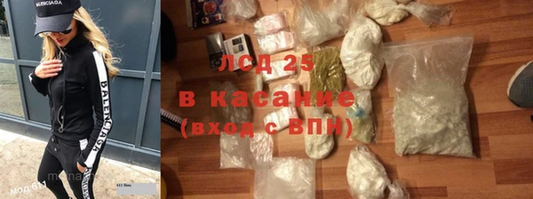 СК Алексин