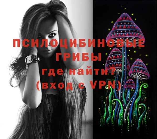 круглые Алзамай