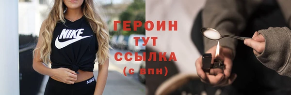 СК Алексин