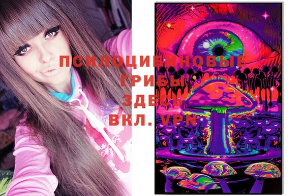 гашик Алексеевка