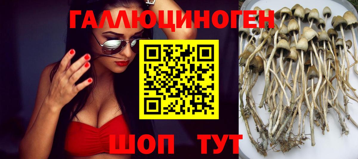 Псилоцибиновые грибы MAGIC MUSHROOMS  Вход с VPN  купить наркотик  Минусинск 